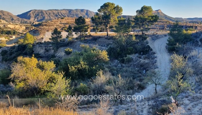 Perceel - Land - Te koop - Relleu - Relleu Centro