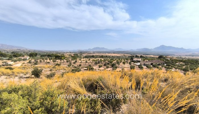 Perceel - Land - Te koop - Sax - Sax Centro