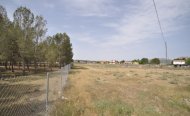 Perceel - Land - Te koop - Villena - RSO-74729