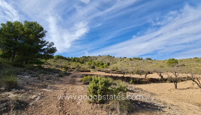 Perceel - Land - Te koop - Yecla - Raspay