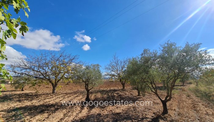 Perceel - Land - Te koop - Yecla - Yecla Centro