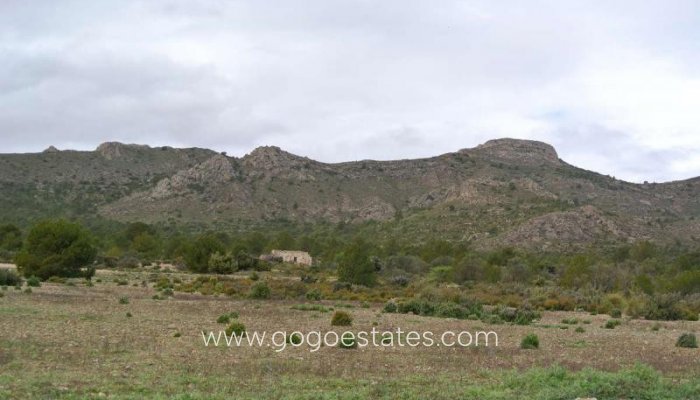 Perceel - Land - Te koop - Yecla - Yecla Centro