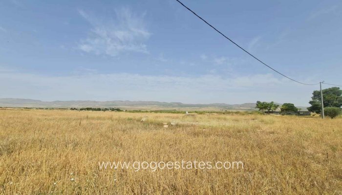 Perceel - Land - Te koop - Yecla - Yecla Centro