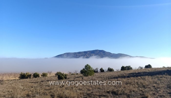 Perceel - Land - Te koop - Yecla - Yecla Centro