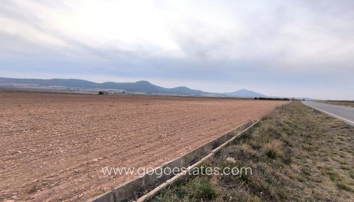 Perceel - Land - Te koop - Yecla - Yecla Centro