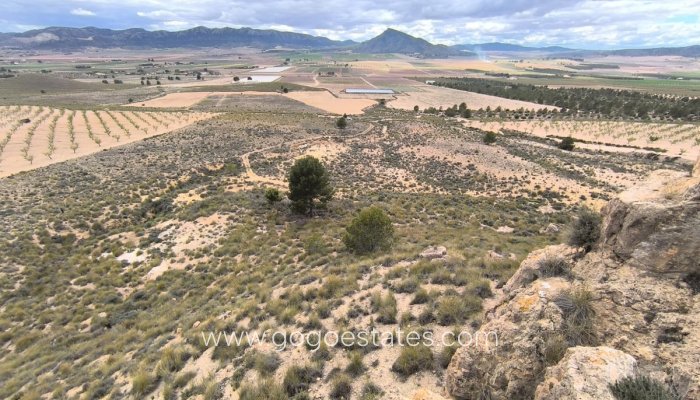 Perceel - Land - Te koop - Yecla - Yecla Centro