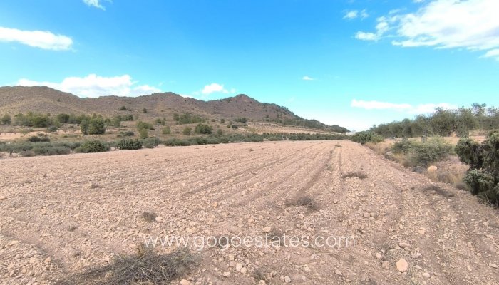 Perceel - Land - Te koop - Yecla - Yecla Centro