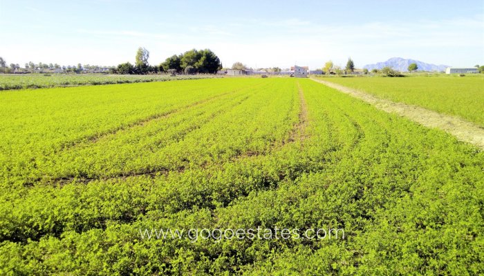 Plot - Land - Resale - Alicante - Dolores Centro