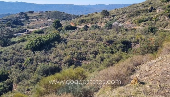 Plot - Land - Resale - Bedar - Bedar