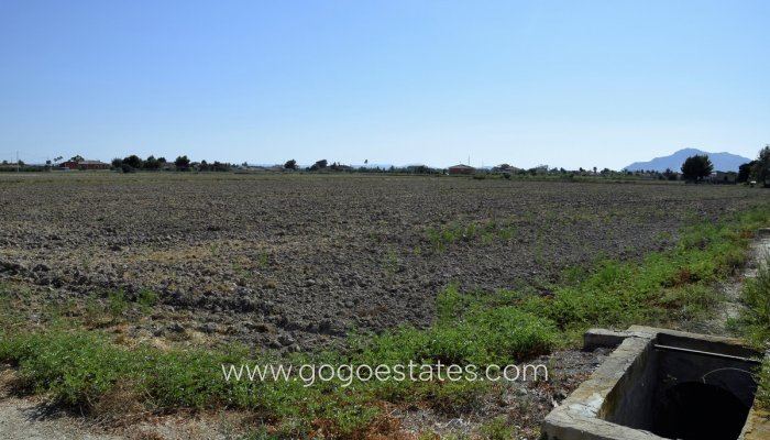 Plot - Land - Resale - Catral - Catral Centro