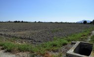 Plot - Land - Resale - Catral - RSO-95132