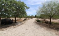 Plot - Land - Resale - Elche - RSO-27034