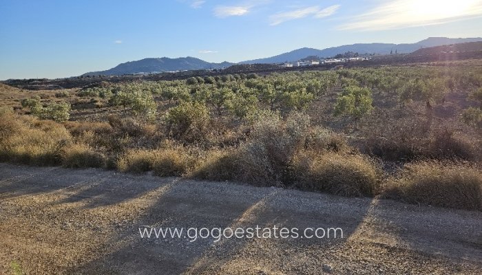 Plot - Land - Resale - Elda - Elda Centro