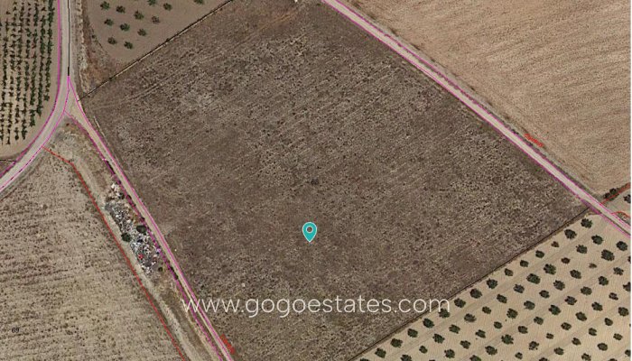 Plot - Land - Resale - Jumilla - Cañada del Trigo