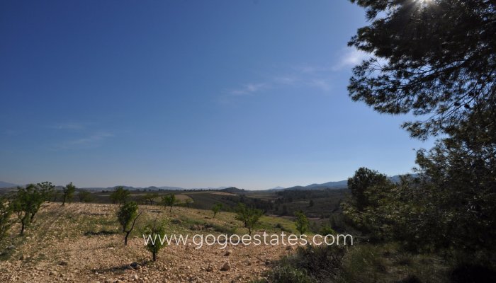Plot - Land - Resale - Jumilla - La Zarza