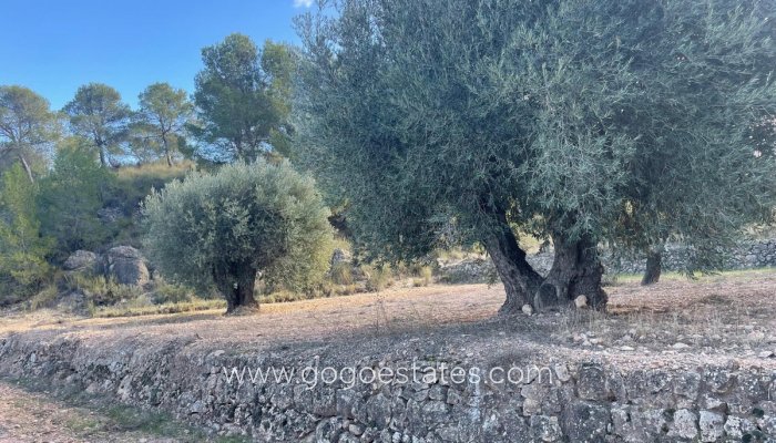 Plot - Land - Resale - Jumilla - La Zarza