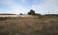 Plot - Land - Resale - Jumilla - RSO-25189