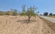 Plot - Land - Resale - Jumilla - RSO-28153