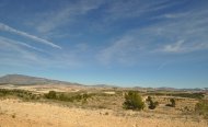 Plot - Land - Resale - Jumilla - RSO-58058