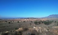 Plot - Land - Resale - Jumilla - RSO-59067