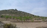 Plot - Land - Resale - Jumilla - RSO-91786