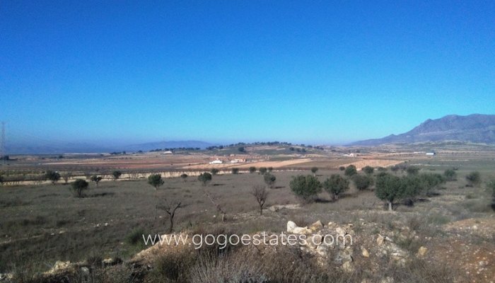 Plot - Land - Resale - Jumilla - Torre del Rico