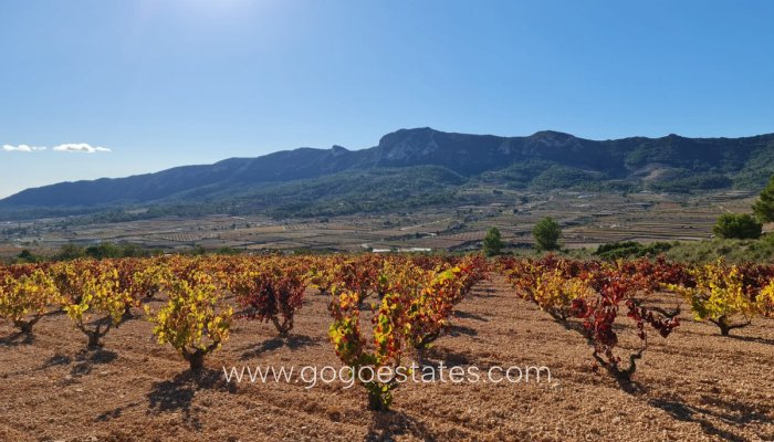 Plot - Land - Resale - La Romana - La Romana Centro