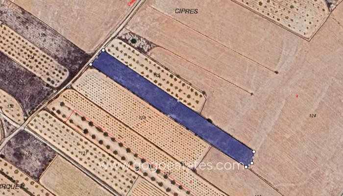 Plot - Land - Resale - Monóvar - Monòver - Casas del Señor