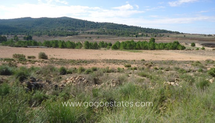 Plot - Land - Resale - Monóvar - Monòver - Monóvar - Monòver Centro