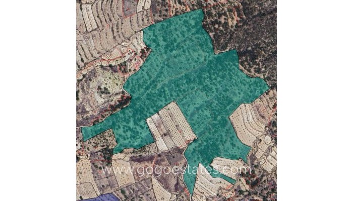 Plot - Land - Resale - Monóvar - Monòver - Monóvar - Monòver Centro