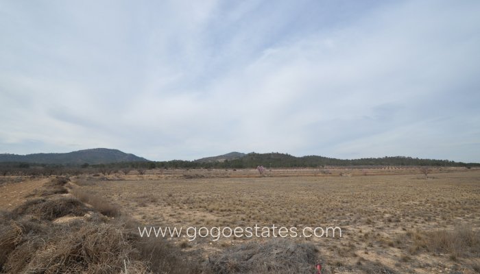 Plot - Land - Resale - Monóvar - Monòver - Monóvar - Monòver Centro