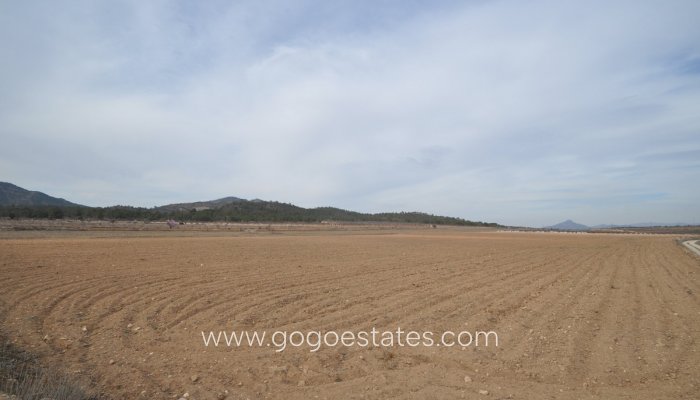 Plot - Land - Resale - Monóvar - Monòver - Monóvar - Monòver Centro