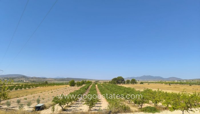 Plot - Land - Resale - Monóvar - Monòver - Monóvar - Monòver Centro