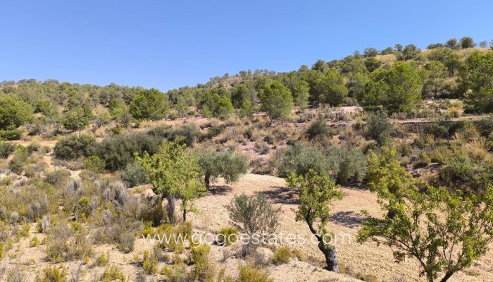 Plot - Land - Resale - Monóvar - Monòver - Monóvar - Monòver Centro