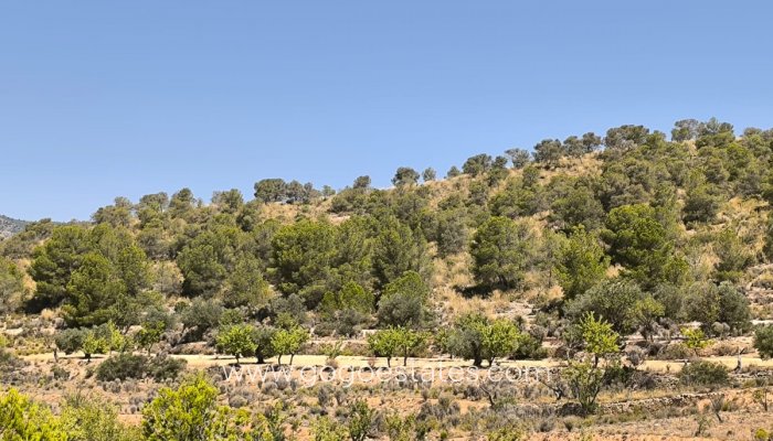 Plot - Land - Resale - Monóvar - Monòver - Monóvar - Monòver Centro