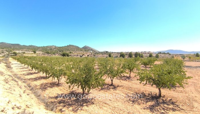 Plot - Land - Resale - Monóvar - Monòver - Monóvar - Monòver Centro