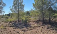 Plot - Land - Resale - Monóvar - Monòver - RSO-63547