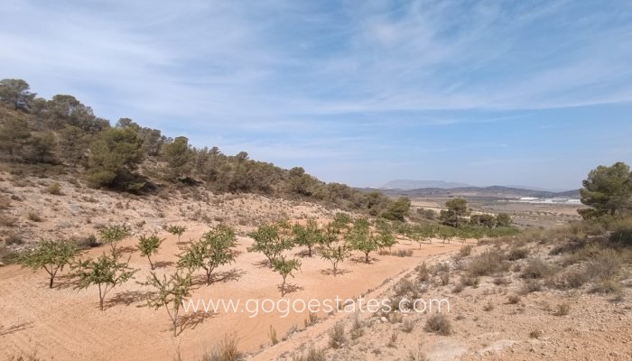 Plot - Land - Resale - Murcia - Abanilla Centro