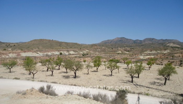 Plot - Land - Resale - Murcia - Abanilla Centro