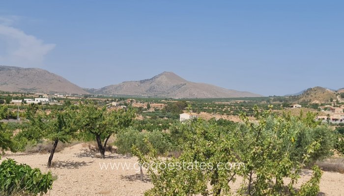 Plot - Land - Resale - Murcia - Abanilla Centro