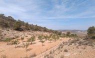 Plot - Land - Resale - Murcia - RSO-73414