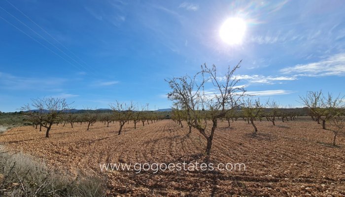 Plot - Land - Resale - Pinoso - Aspe