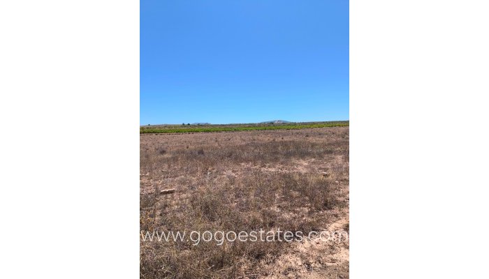 Plot - Land - Resale - Pinoso - Aspe