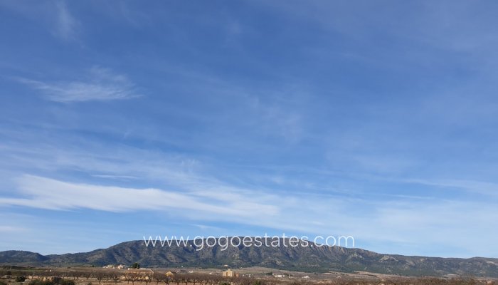 Plot - Land - Resale - Pinoso - Pinoso Centro