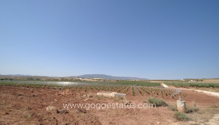 Plot - Land - Resale - Pinoso - Pinoso Centro