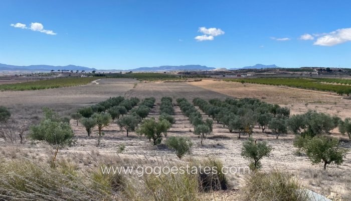 Plot - Land - Resale - Pinoso - Pinoso Centro