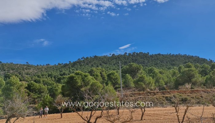 Plot - Land - Resale - Pinoso - Pinoso Centro