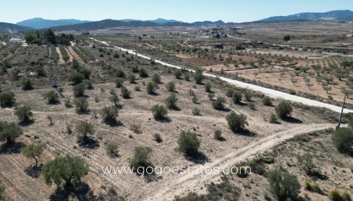 Plot - Land - Resale - Pinoso - Pinoso Centro