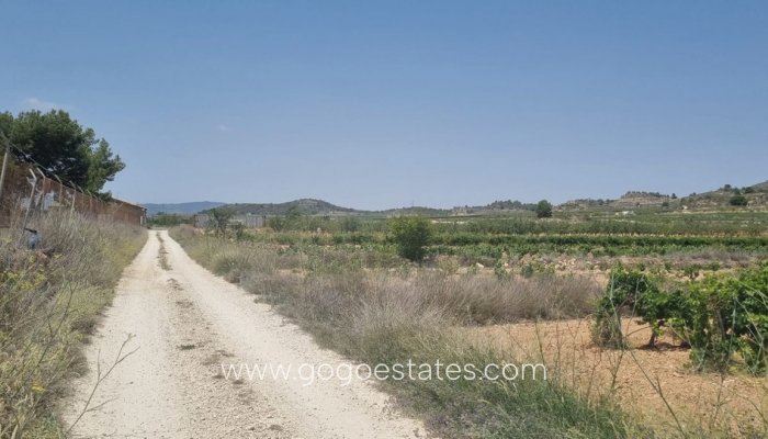 Plot - Land - Resale - Pinoso - Pinoso Centro