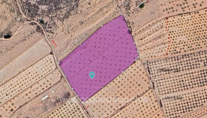 Plot - Land - Resale - Pinoso - Pinoso Centro